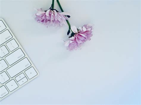 Image result for Simple Computer Desktop Backgrounds