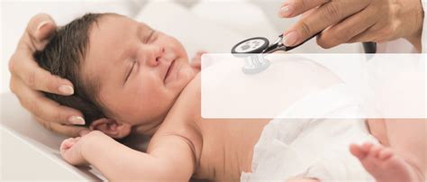 Integrations Seca に対する画像結果