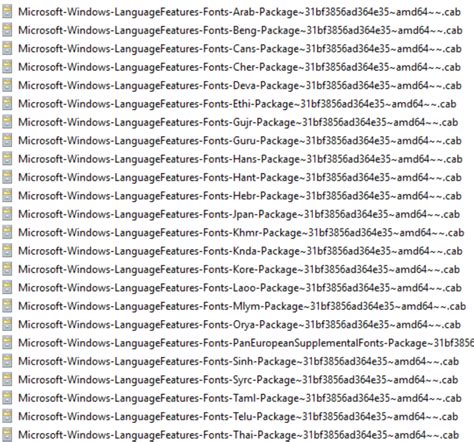 Image result for Garmin Chinese Language Pack Download