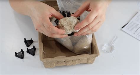 Break Open Geodes に対する画像結果