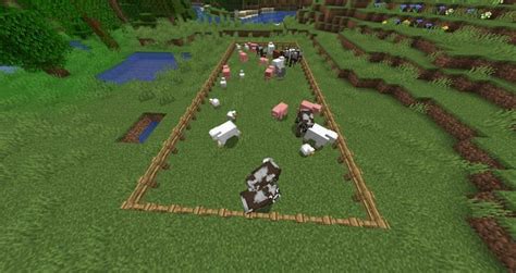 Image result for Minecraft Animal Mobs