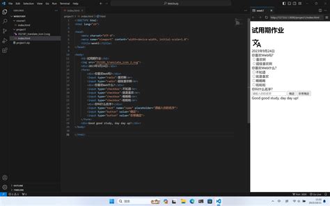 Image result for Vscode HTML Preview