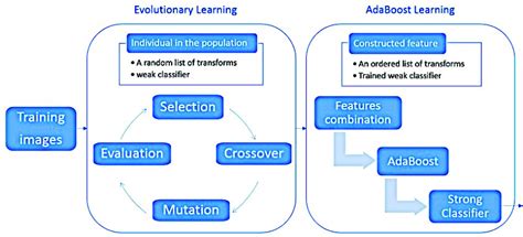 Image result for Algorithm for Training