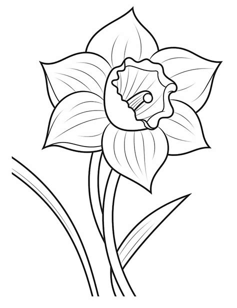 Image result for Spring Flowers Coloring Sheets Printable