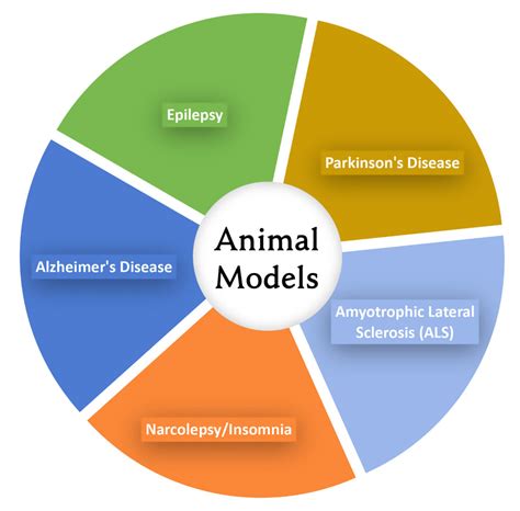 Image result for Animal Development Models