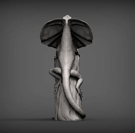 Toradh íomhá ar CL Lizard Model Valentina