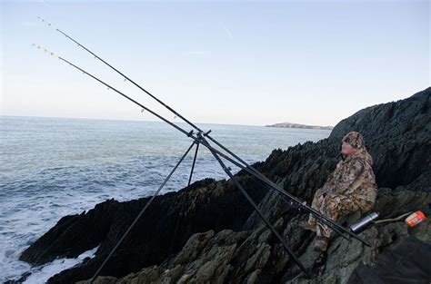 Cod Fishing Basics に対する画像結果