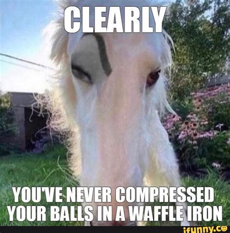 Toradh íomhá ar Compress Fun Meme