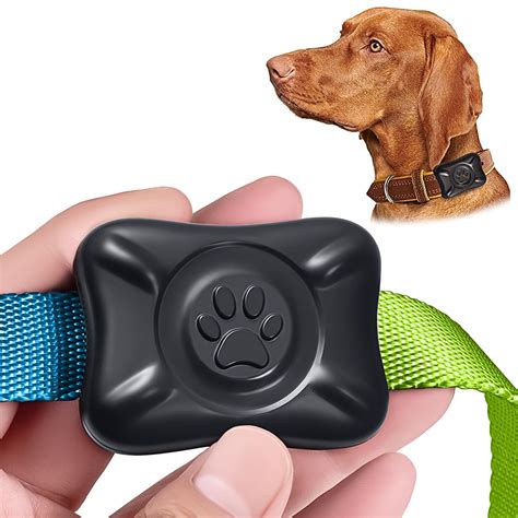 Air Tag for Dog に対する画像結果