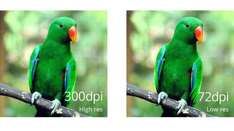 Image result for Low vs High Resolution Free Image