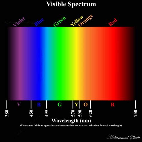Image result for Visible Spectrum