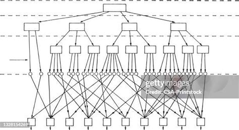 Image result for Complex Networking Scheme