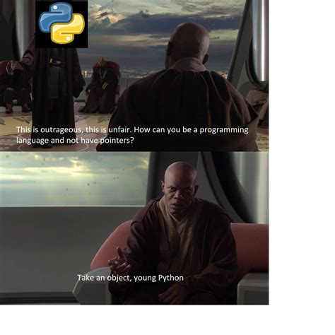 Image result for Python Master Humour