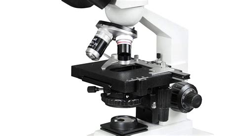 Image result for Best Computer Compound Microscope