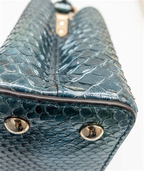 Image result for Louis Vuitton Python Bag