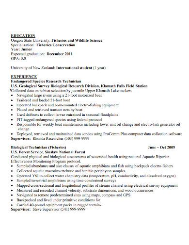 Image result for Good Introduction Examples for Resume