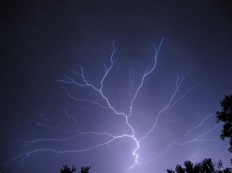 Afbeeldingsresultaten voor Lightning Fractal Algorithm