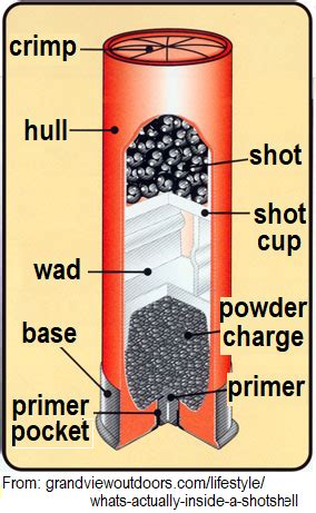 Image result for Shotgun Shell Diagram