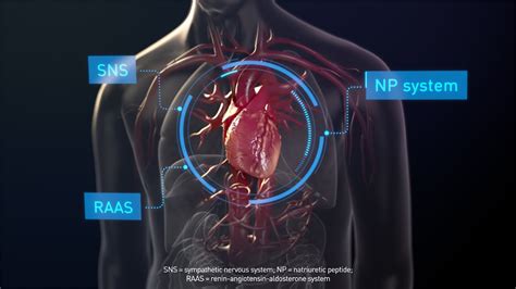 Image result for Animation Heart Failure