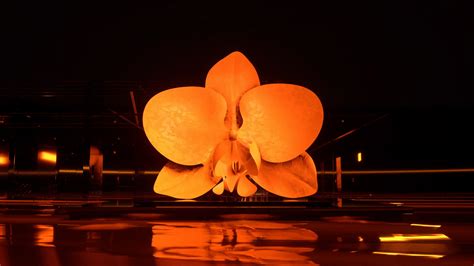 Unexpected Project Performance に対する画像結果