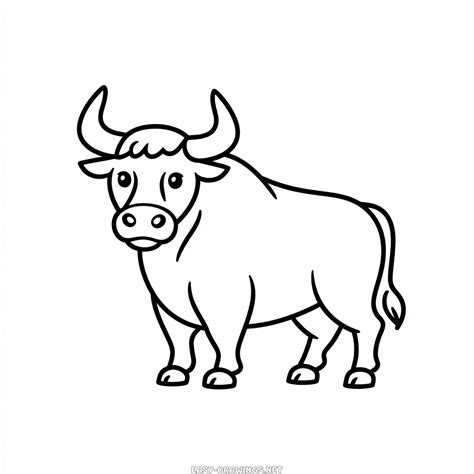 تصویر کا نتیجہ برائے Simple Bull Drawing