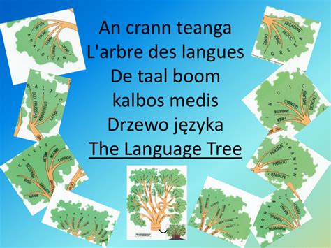 Image result for Tree Language Earth Language