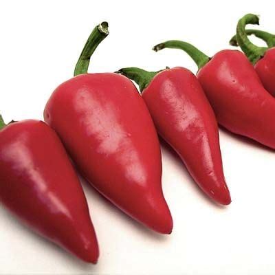 Fresno State Student Union に対する画像結果