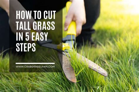 Image result for Tall Grass Cutter