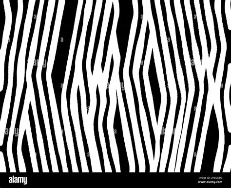 Image result for Zebra Design No Background