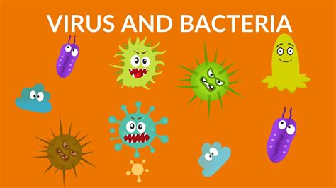 Afbeeldingsresultaten voor Microorganisms for Kids