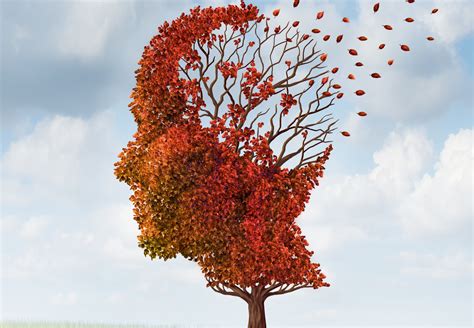 Image result for Python Funktionen