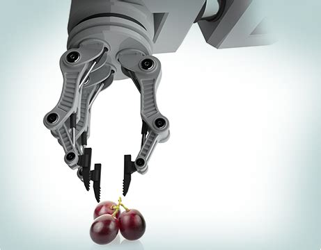 Image result for Robotic Arm Manipulating Fruits