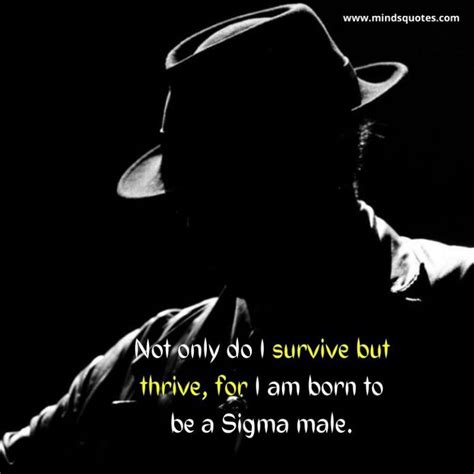 Afbeeldingsresultaten voor Sigma Rule Full Song