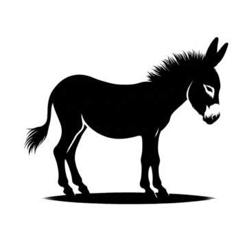 Toradh íomhá ar +Script CNO Background