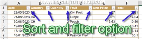 Afbeeldingsresultaten voor Filter Excel File