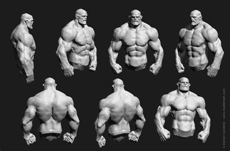 Image result for Bodybuilder Standing Side View Reference