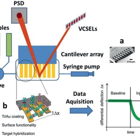 Image result for Microprism Array Imaging