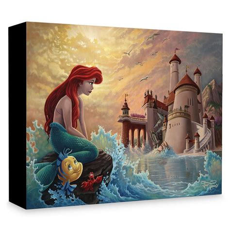 Afbeeldingsresultaten voor Aladdin Little Mermaid
