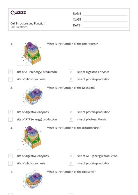 Image result for 7th Grade Cell Structure Worksheet