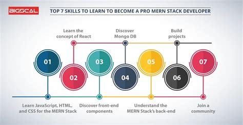 Image result for Entri Elevate Mern Stack Developer