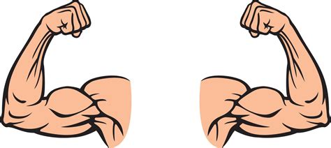 Image result for Flexing Arm Muscle