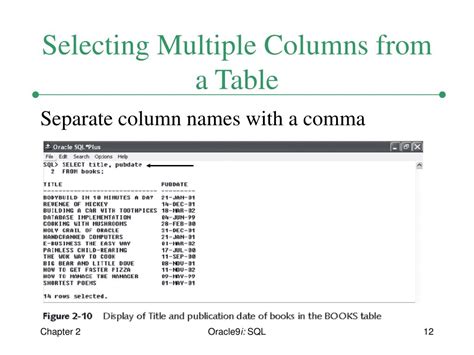 Toradh íomhá ar Basic SQL Select