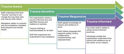 Image result for Trauma-Informed DVRs