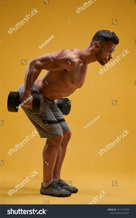 Image result for Bodybuilder Standing Side View Reference