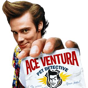 Toradh íomhá ar Sound Files MP3