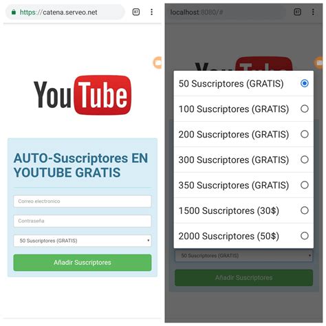 Example of a Scam Website HTML Program に対する画像結果