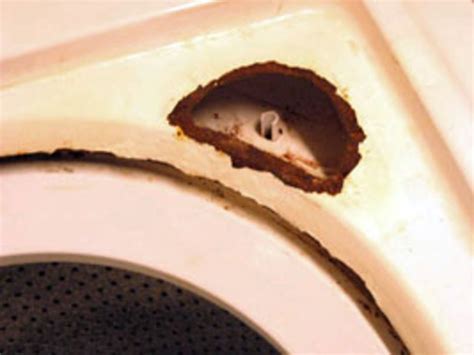 Image result for How to Remove Rust From the Inside of Your Washing Machine