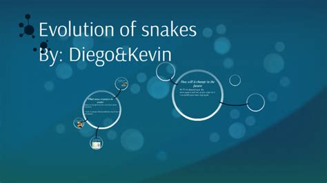 Image result for Evolution Types of Selection Answer Key Snakes