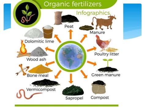 Toradh íomhá ar Perform Estimation and Basic Calculation PPT