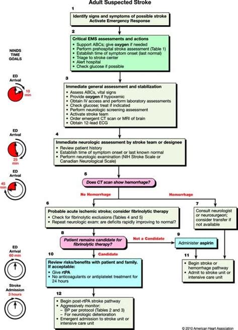 Image result for Stroke Treatment Algorithm